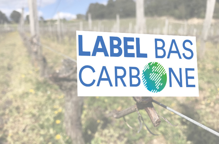 Marges de progression pour un label bas-carbone des vins de France