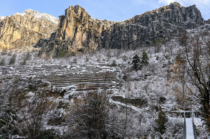 Renaissance d’un vignoble dans la vallée de la Roya
