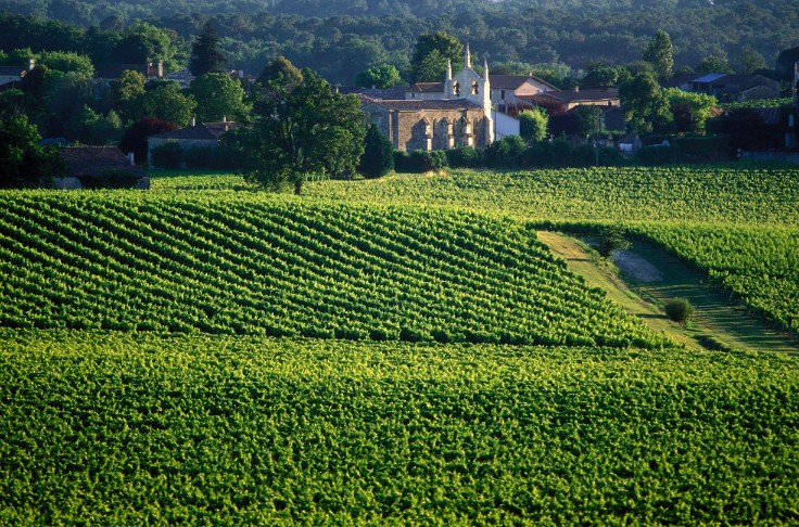 Que valent les vins de Bordeaux de 2021 ?