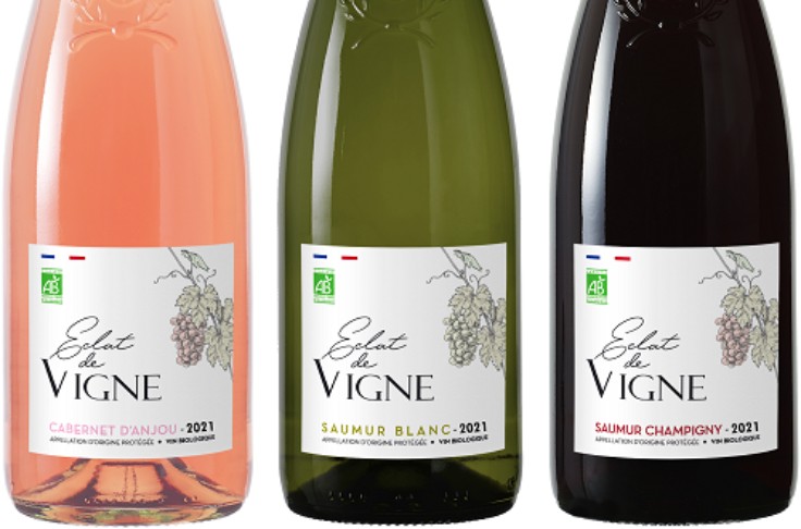 Eclat de vigne, nouvelle marque de vin durable du raisin au packaging