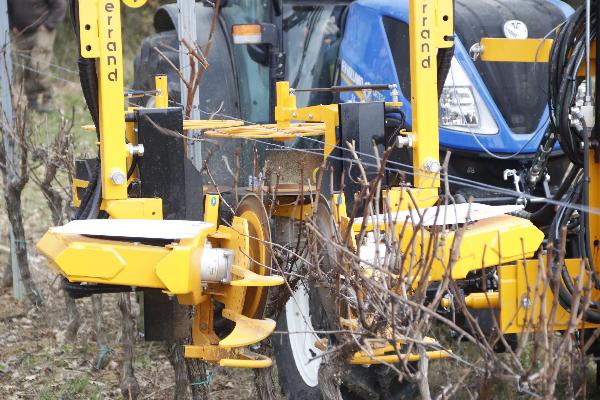  4 machines de taille rase à l’essai dans une vigne de Gironde