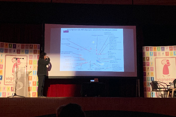 Prêche pour les cépages oubliés