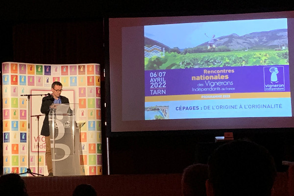 'L’année exceptionnelle va devenir celle sans aléas climatique' au vignoble