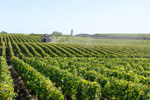 Un livre blanc et des clés pour maîtriser les IFT dans les vignes