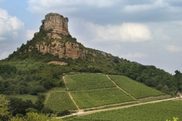 De la taille au GNR, les coûts de production des vins de Bourgogne (Saône-et-Loire)