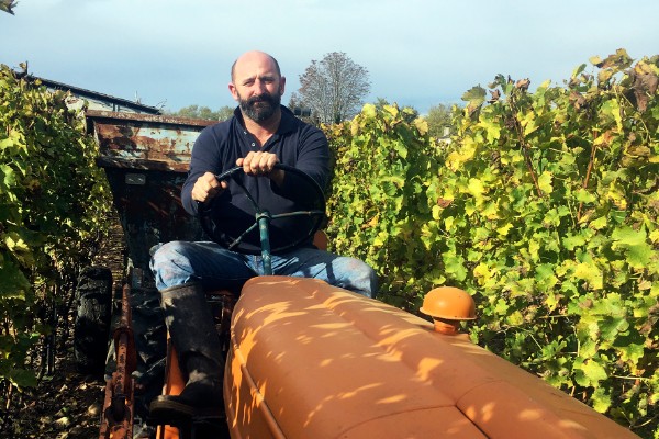  Prévenir les riverains des vignes avant de traiter devient obligatoire