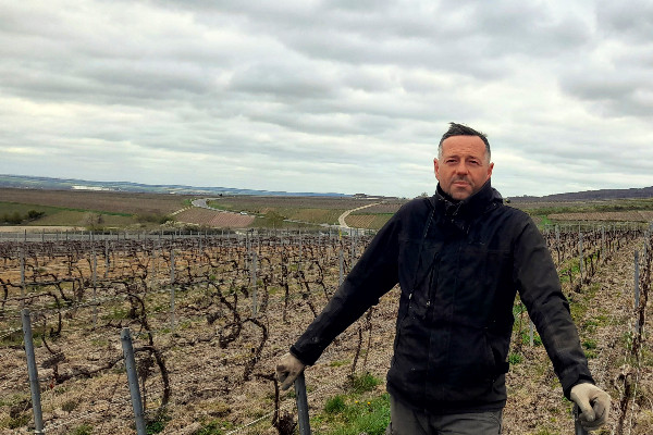  La stratégie des vignerons face à la pénurie de phyto qui menace