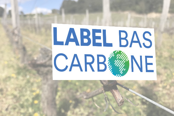 Marges de progression pour un label bas-carbone des vins de France