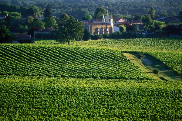 Que valent les vins de Bordeaux de 2021 ?