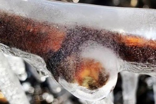 Les chiffres des pertes de récolte liées au gel dans le vignoble