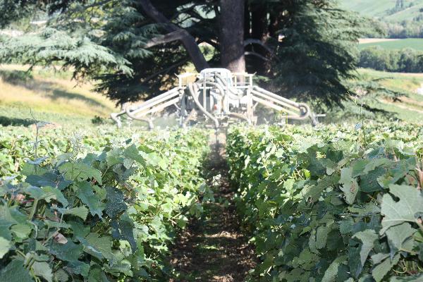  Des firmes croient aux vertus des plantes et se lancent dans la phytothérapie