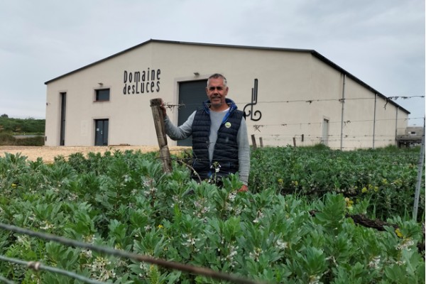 Le label bas carbone vigne inquiète les IGP du Gard