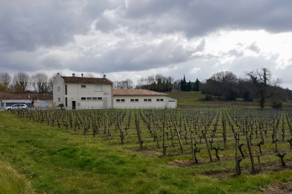 La future charte riverains des viticulteurs de Gironde ne fait pas l'unanimité