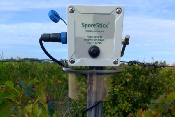 Des réseaux de capteurs pour anticiper l’arrivée du mildiou