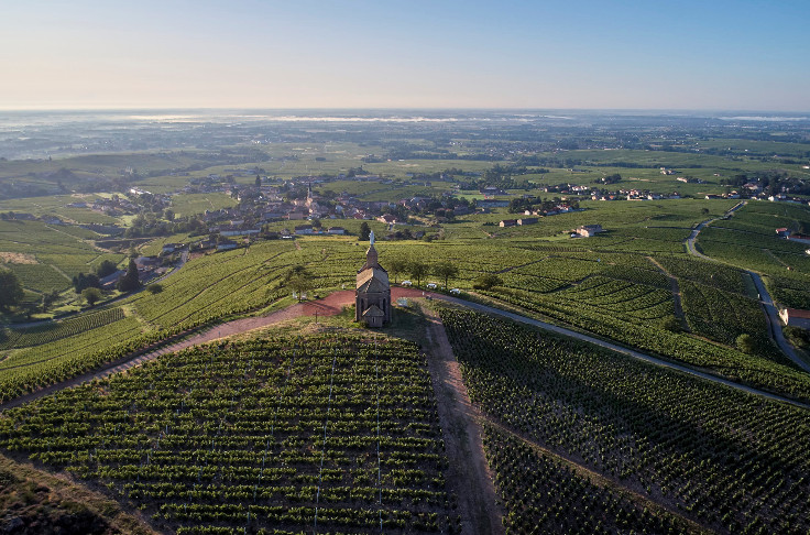 Premiers crus en ligne de mire pour les vins de Fleurie