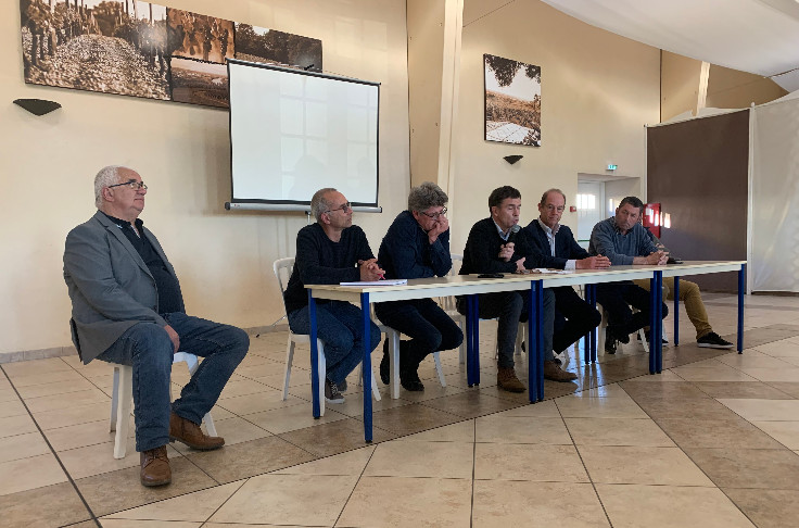 Les vignes excédentaires de Bordeaux iraient bien se planter à Cognac