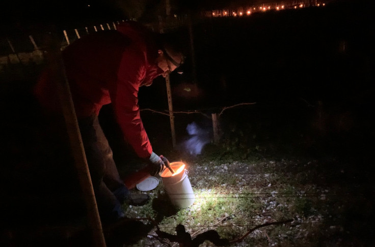 Nuits et gelées blanches de printemps, 
