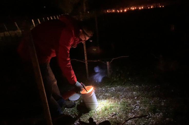 Night time spring frosts “as usual” for French winegrowers Night time spring frosts “as usual” for French winegrowers