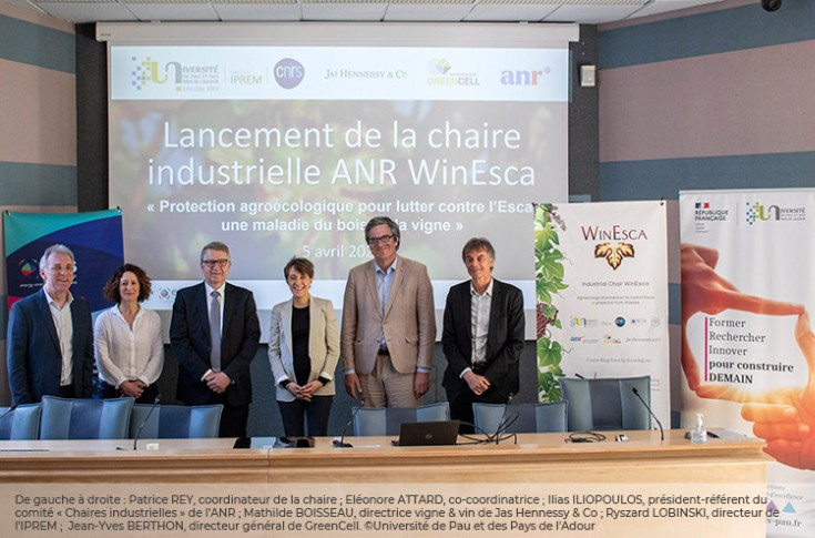 4 ans et presque 4 millions € pour trouver la solution à l’esca de la vigne
