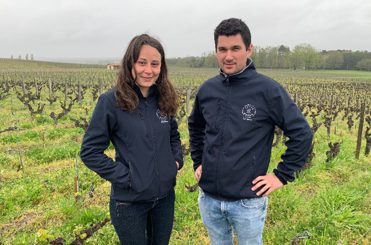Un conservatoire de sélection massale des cépages de Sauternes