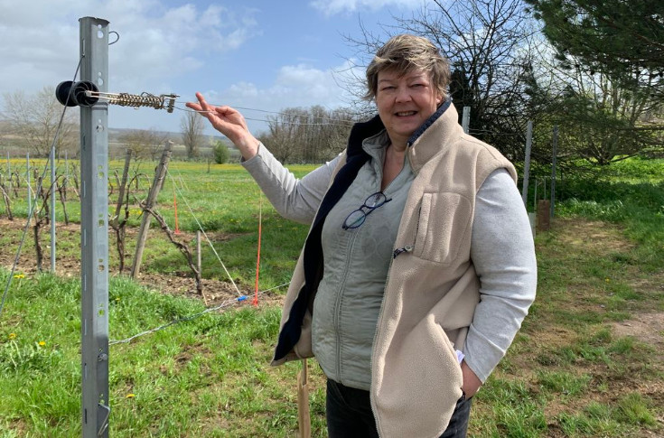 Le palissage des vignes tout confort en démonstration en Charente