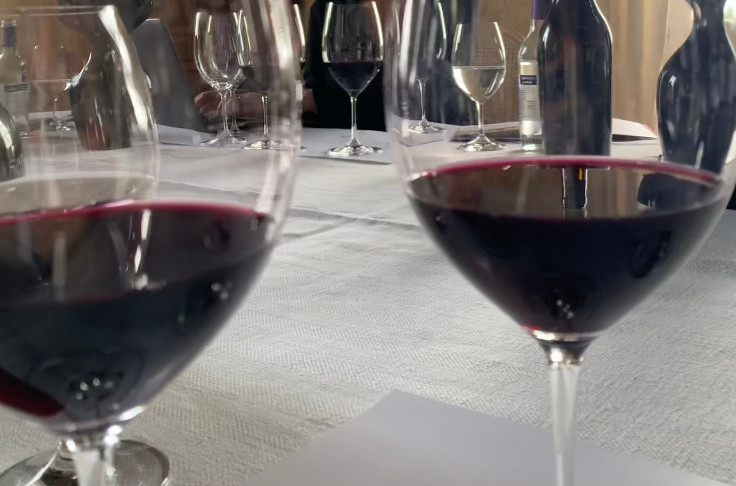 2022, le millésime du juste rapport qualité-primeur pour les vins de Bordeaux ?
