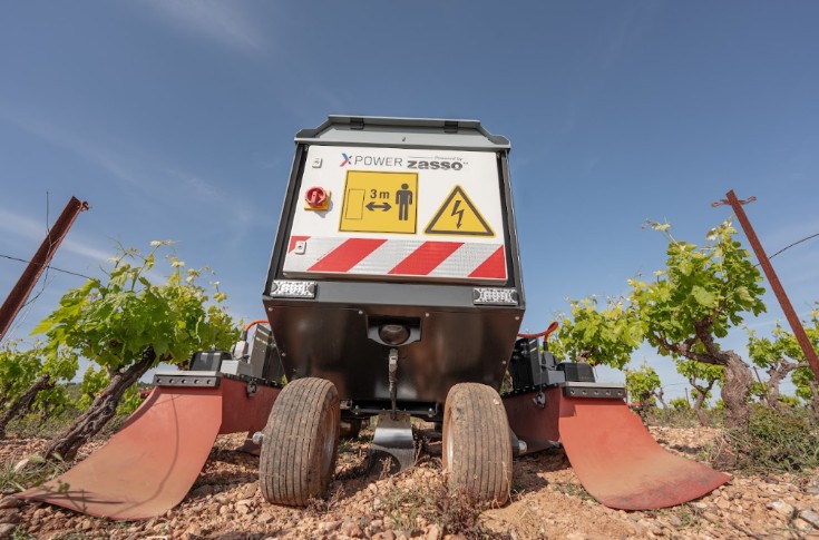 Une combinaison de techniques pour gérer les adventices au vignoble