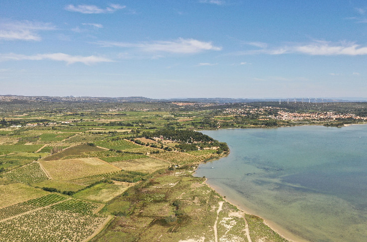 Fitou sortira de l'interprofession des vins du Languedoc