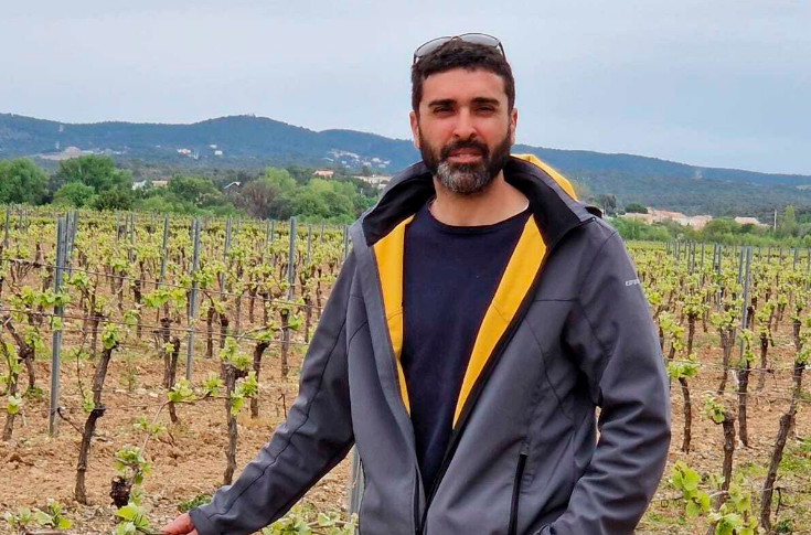  Une bactérie capte l'azote de l'air pour nourrir les vignes