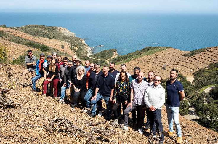 Le vignoble du Cru Collioure-Banyuls a un plan pour se relancer