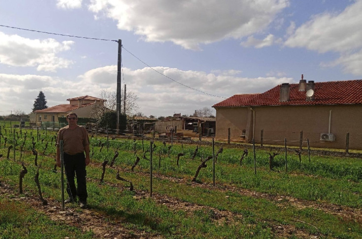  Des vignes reculent loin des habitations en raison des distances de sécurité vis-à-vis des riverains