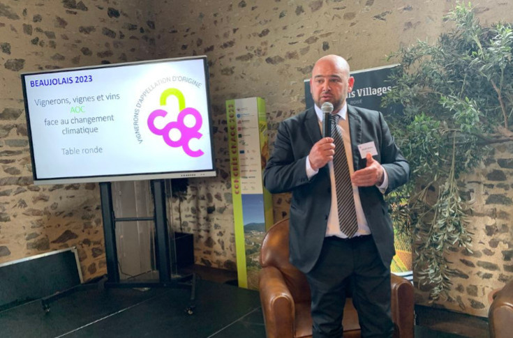 Les appellations viticoles se libèrent pour s’adapter au changement climatique