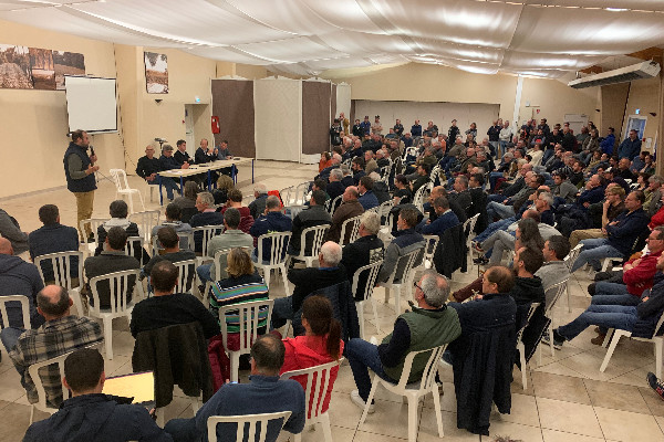 L'arrachage des vignes bordelaises dans la zone crise