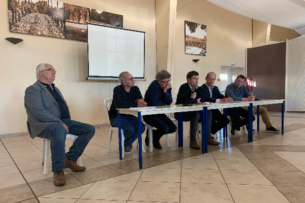 Les vignes excédentaires de Bordeaux iraient bien se planter à Cognac