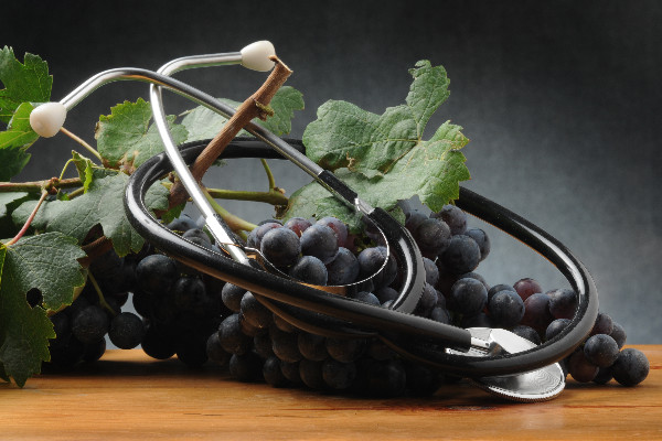 Et si la santé de la vigne passait par sa nutrition ? 