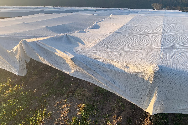 Un porte-outils pour enrouler/dérouler un voile antigel sur 4 rangs de vignes