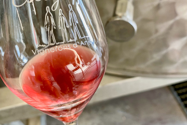 Pour les vins rosés de l’Anjou, c’est déjà l’été
