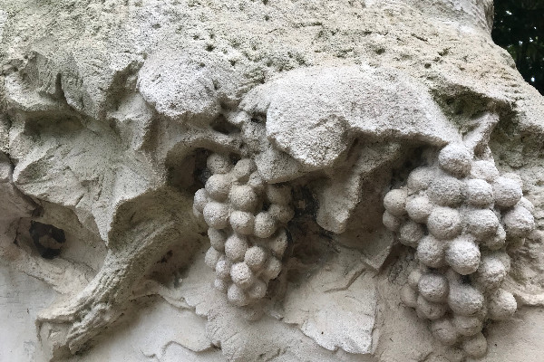 Affaire et crus classés pour Saint-Émilion 2022