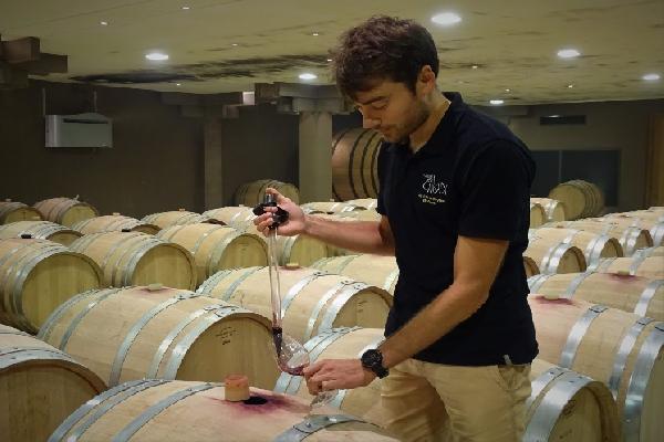  Besoin de froid pour les vendanges ? Pensez à la location et réservez maintenant.