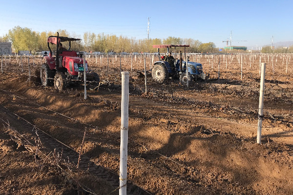 La France soutient l’adhésion chinoise à l’ONU du vin