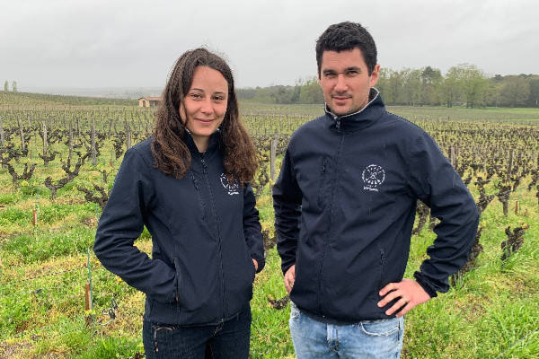 Un conservatoire de sélection massale des cépages de Sauternes