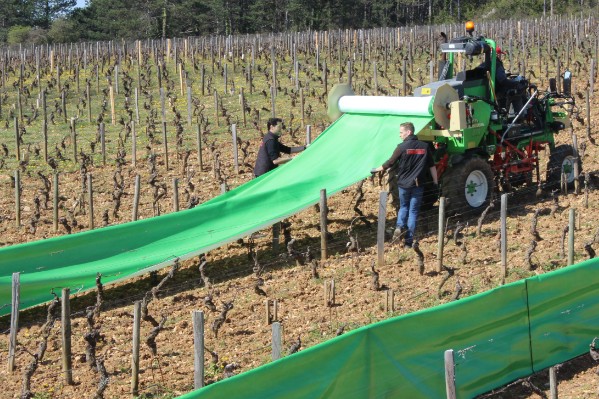 Un géosynthétique durable contre le gel dans les vignes