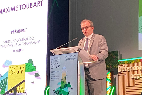 Mise au point sur les i des herbicides dans le vignoble de Champagne