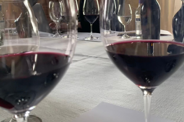 2022, le millésime du juste rapport qualité-primeur pour les vins de Bordeaux ?