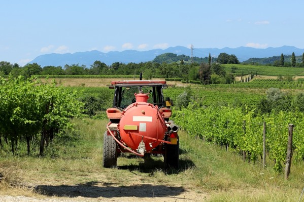 La HVE s’assouplit pour les vitis