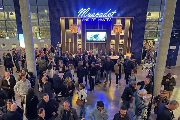 Le vin du Muscadet, star du Zénith de Nantes
