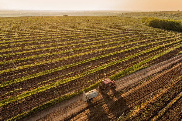 Les viticulteurs peuvent traiter à moins de 10 mètres des routes et des chemins