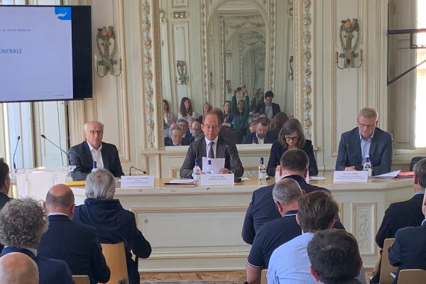 Comment le CIVB va financer une partie du plan d'arrachage sanitaire du vignoble ?