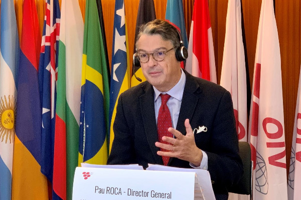 L'OIV révèle un nouveau record de la valeur des exportations mondiales de vins en 2022