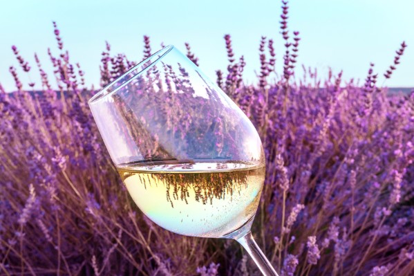Les vins blancs, nouvel eldorado pour La Provence
